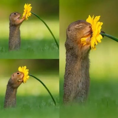 Le PhydaultEnManqueDeTendresse